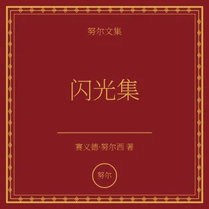 《闪光集》
